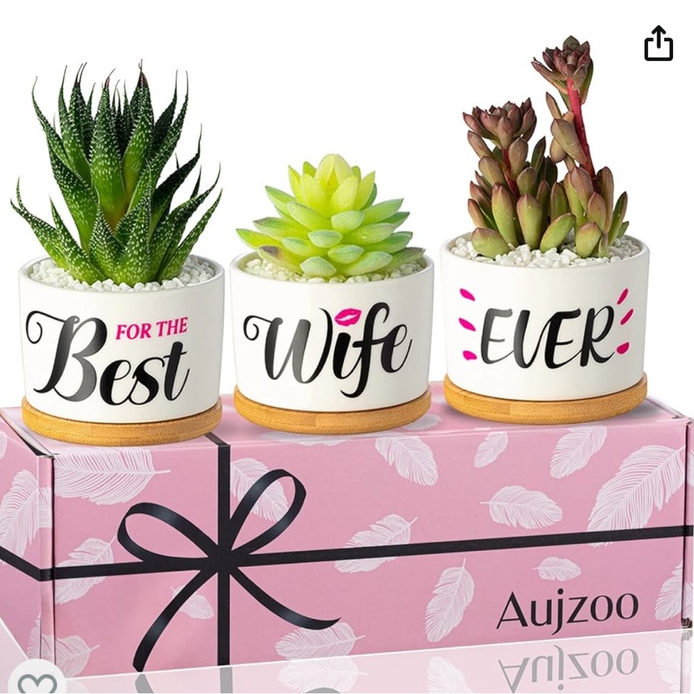 Aujzoo Best Wife Ever succulent planter gift set NIB